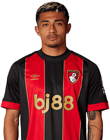 J.Araujo